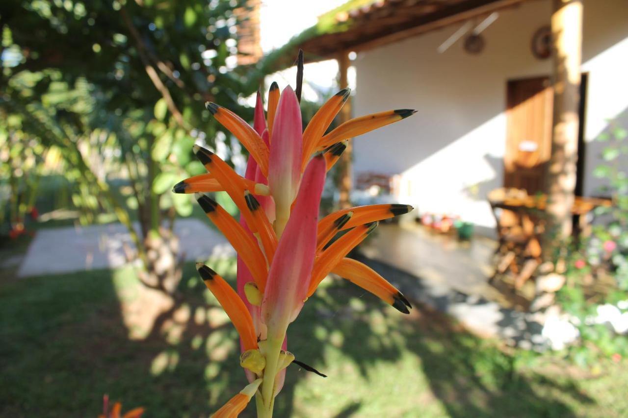 Family Guest House Velha Boipeba 외부 사진