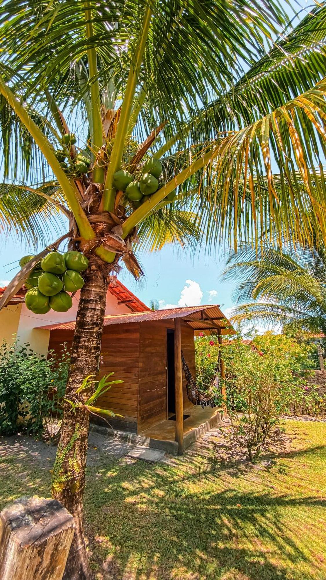 Family Guest House Velha Boipeba 외부 사진